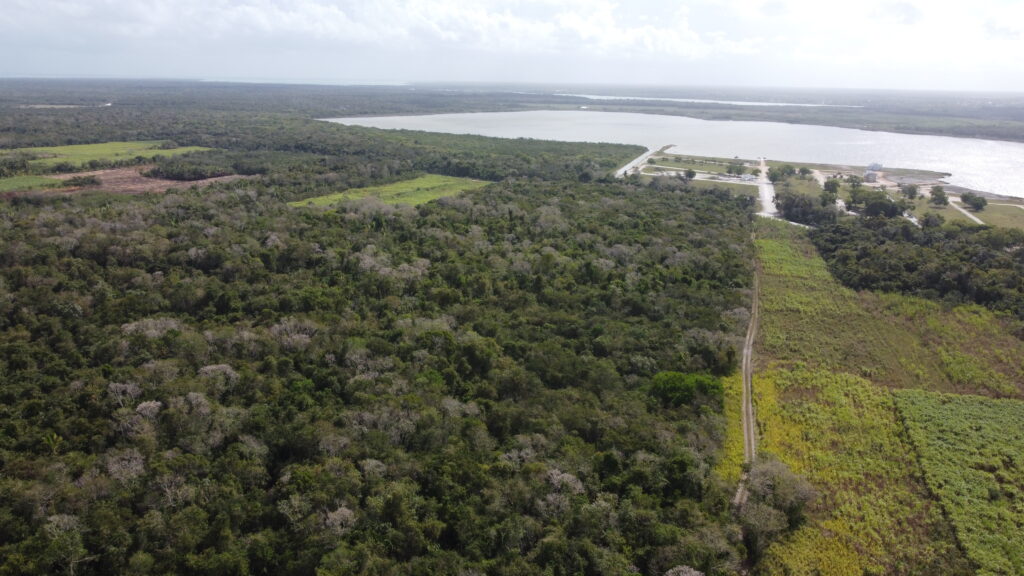 Awesome 48 Acres of Land For Sale, Belize
