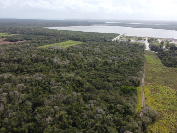 Awesome 48 Acres of Land For Sale, Belize