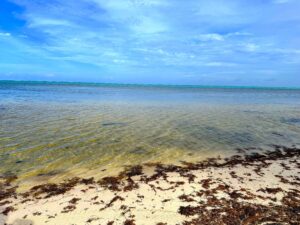 San Pedro Ambergris Caye Property for sale beachfront resort developers development secret beach