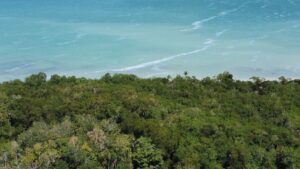 New Development: Standalone 0,7 Acre Oceanfront Lots Near Cerros Sands