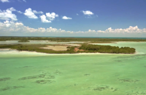 Affordable Luxury: 4-Acre Private Island Under Belize Caribbean investment