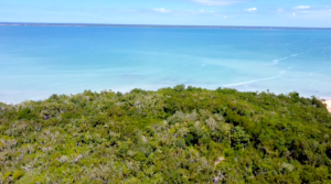 11 Acres Oceanfront Under $180K!