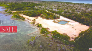 Elevated Beachfront Land. Corozal. Sarteneja. Development. Expacts. QRP.