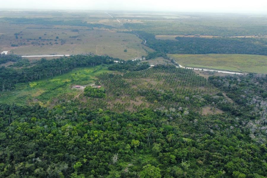 356 Riverfront ACRES near Orange Walk with a CENOTE! Orange Walk, Belize, Agriculture land for sale, developmer, investment land,