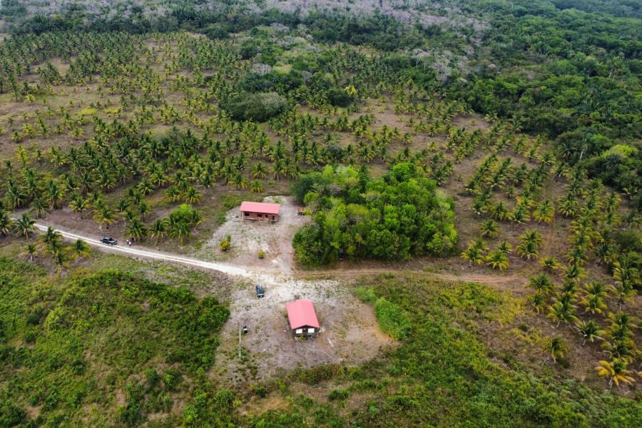 Vast Commercial Land: Riverfront & Lakefront - 356 Acres, Orange Walk, Belize, Agriculture land for sale, developmer, investment land