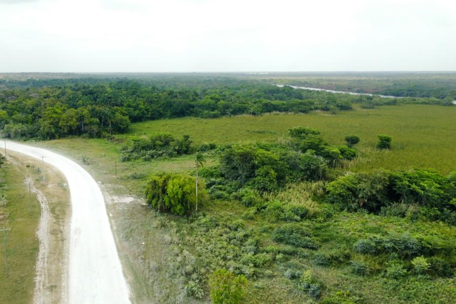 Vast Commercial Land: Riverfront & Lakefront - 356 Acres, Orange Walk, Belize, Agriculture land for sale, developmer, investment land