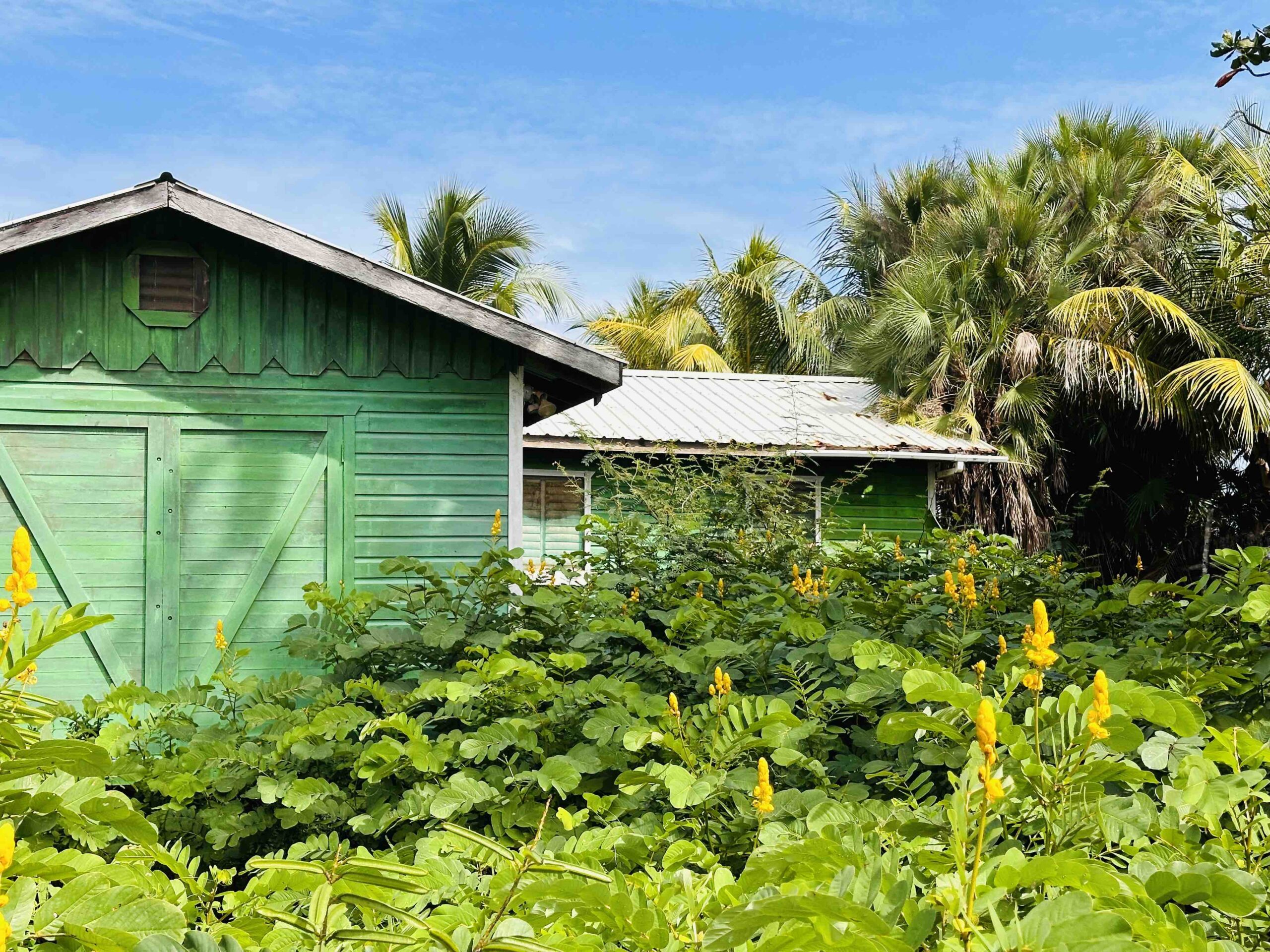 Oceanfront Property in Hopkins