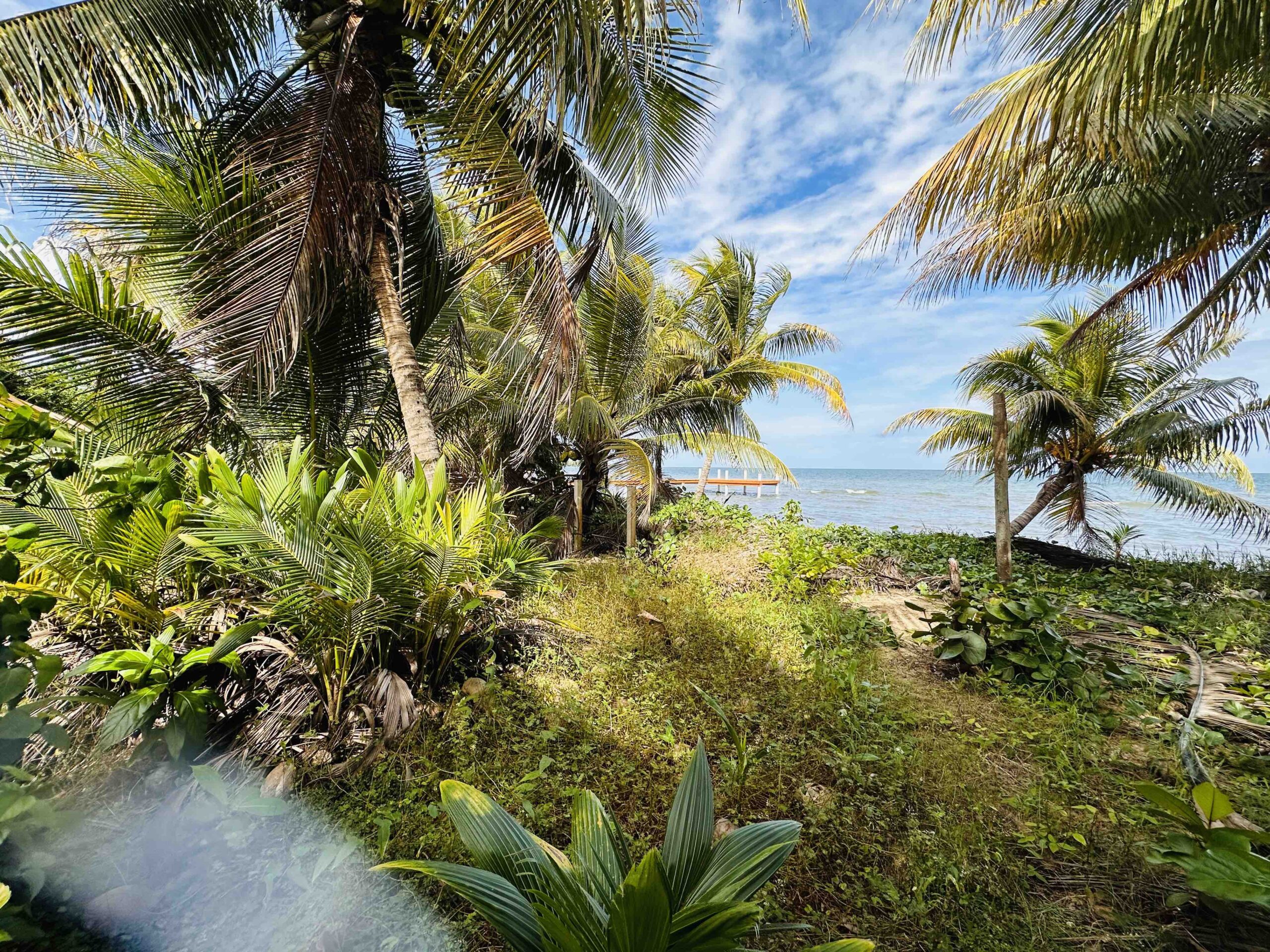 Oceanfront Property in Hopkins