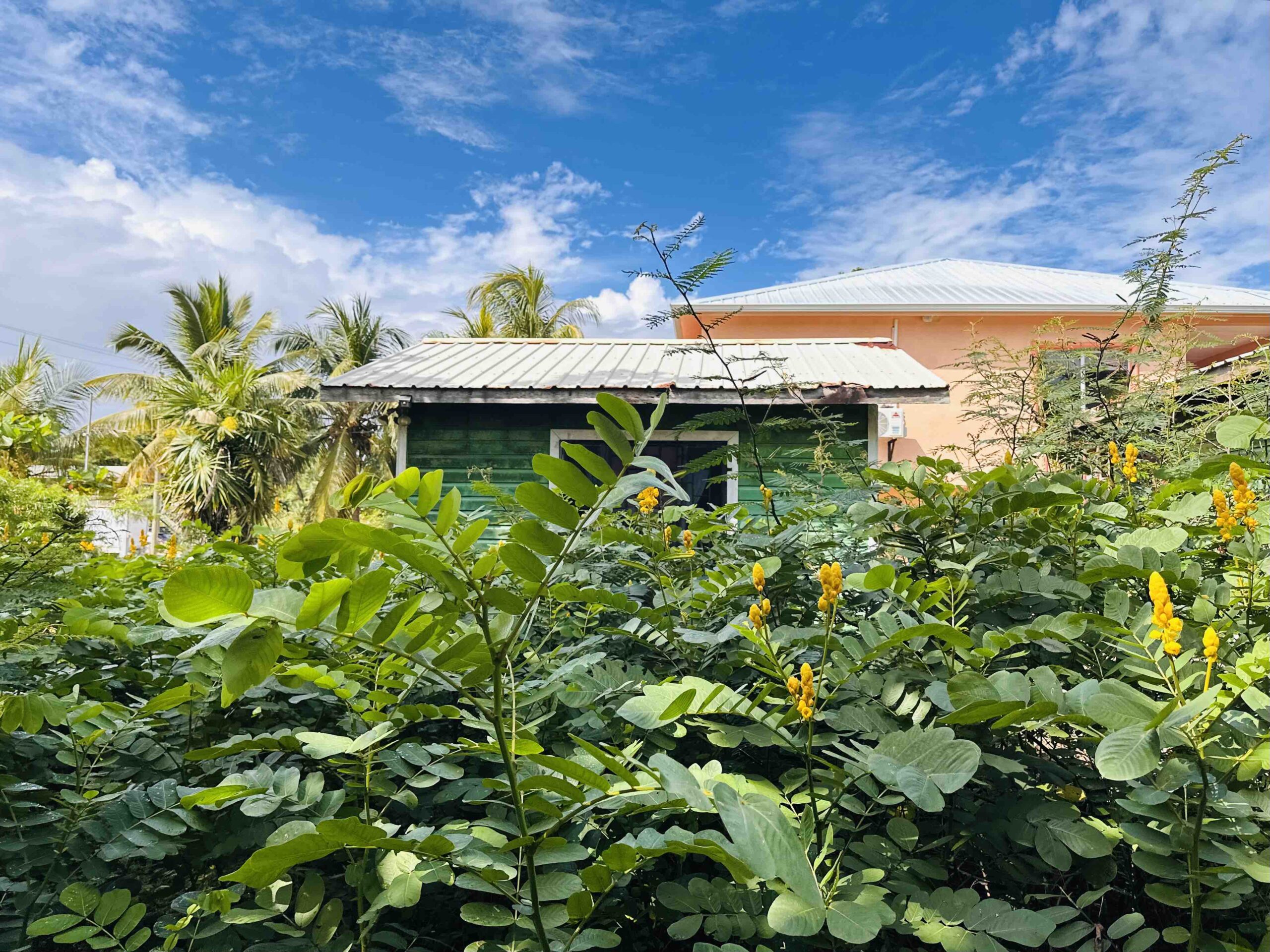 Oceanfront Property in Hopkins