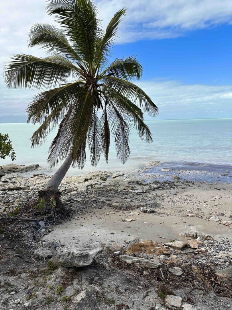 Seaview Property, 0.5 Acre. Sarteneja, Belize, sarteneha, lot fot sale